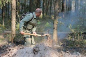Первый лесной пожар в этом году зарегистрировали в Ярцеве