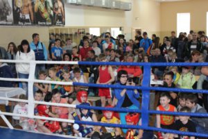 В Ярцеве завершился открытый Чемпионат города Ярцево по бокса среди юношей и девушек