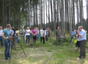 Лесничие Смоленской области обсудили вопросы лесопатологического обследования лесных участков