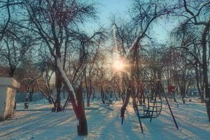 В Смоленской области из-за ветра объявлен «желтый» уровень погодной опасности