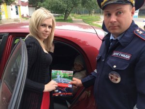 В Смоленском районе автоинспекторы провели «сплошные» проверки соблюдения правил перевозки детей