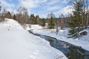 Весна постепенно вступает в свои права