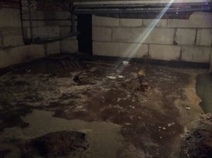 Дом под Смоленском за семь лет «убили» прорвавшей канализацией