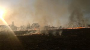 Огонь подходит к жилым домам Ярцева Смоленской области – очевидцы