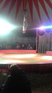Санкт-Петербургский цирк сегодня дал первое представление