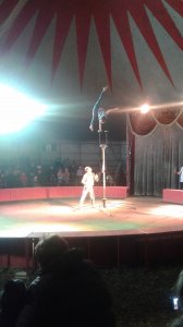 Санкт-Петербургский цирк сегодня дал первое представление