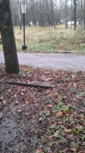 Городской парк - труба дело Городской парк - труба дело