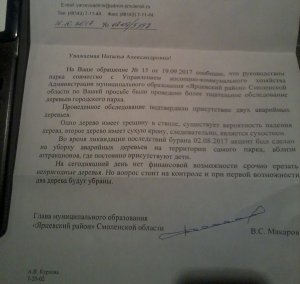 Городской парк - труба дело Городской парк - труба дело