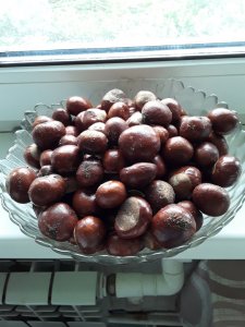 Но больше всех люблю каштан Но больше всех люблю каштан
