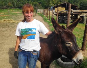 Алеся Дуднева: «Лошадей надо спасать»