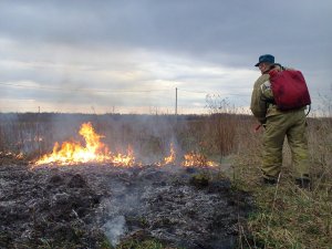 В лесах Ярцевского района начался пожароопасный сезон.