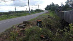 Интерактивчик. Чем помешали деревья дуболомам? Интерактивчик. Чем помешали деревья дуболомам?