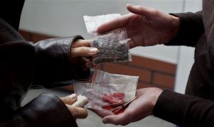Сотрудники УФСБ пресекли деятельность наркодилера в Смоленской области