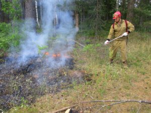 Лесной пожар в Ярцевском районе ликвидирован.