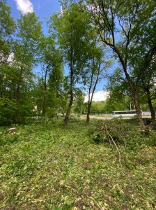 К благоустройству сквера у Банного озера подключаются новые люди К благоустройству сквера у Банного озера подключаются новые люди