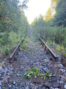 Железная дорога гибнет за металл