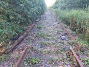 Железная дорога гибнет за металл