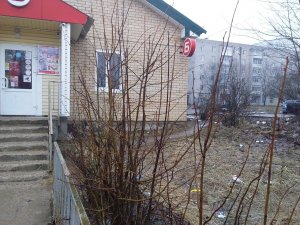 Тошнотворный "Бристоль" или как депутаты горсовета превращают Ярцево в захолустье. Тошнотворный "Бристоль" или как депутаты горсовета превращают Ярцево в захолустье.
