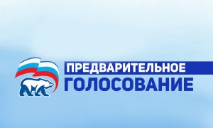Обзор кандидатов на предварительное голосование "Единой России" по округу № 22
