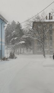 В Смоленской области 2 декабря пройдет субботник по уборке снега