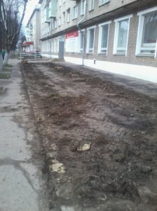 Городские цветы