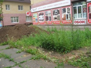 «Кина не будет» и клумбы похоже тоже