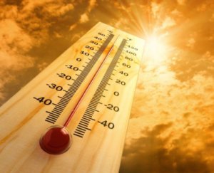 Сегодня по области температура поднимется до +31°С