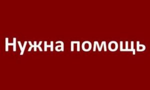 В лесах Ярцевского района заблудилась женщина