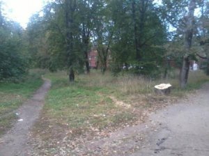Круги по воде. Оперативненько!