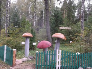 Ярцевский дендросад