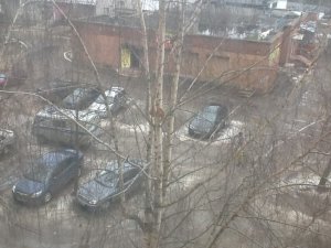 МЧС в Ярцеве котят не спасает