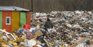 Одни проводят субботники, а другие гадят