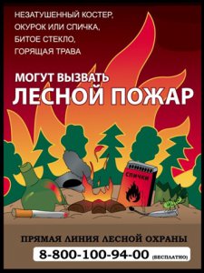 О правилах пожарной безопасности в лесу