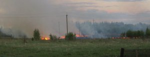 Едкий дым в год экологии