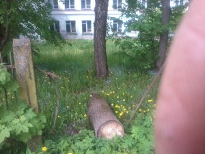 Детская художественная школа – убогое зрелище