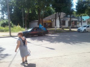 Повалили деревья не десантники