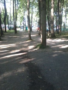 Впервые за долгие годы в Ярцеве произошло такое событие