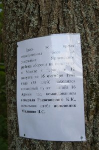 55 дней в лесу