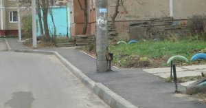 Когда начнут включать мозг?