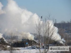 Нет дыма без огня. Полиция не разглядела горящую свалку в Ярцеве 01.02.2018, 16:43 1