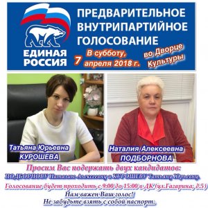 Праймериз "Единой России для дополнительных выборов в горсовет.