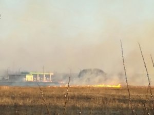 За несанкционированный пал травы к административной ответственности привлечены 48 человек