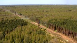 В области установился 3 класс пожарной опасности