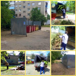 Осиные гнёзда под крышей дома