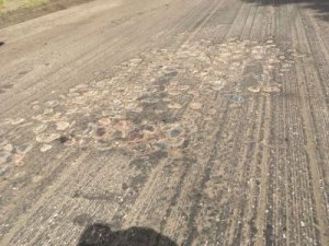 Во время ремонта улицы Советской обнаружили клад