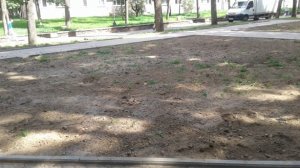 Активисты Общероссийского народного фронта проверили как идёт благоустройство