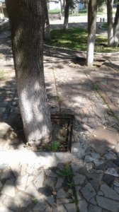 Активисты Общероссийского народного фронта проверили как идёт благоустройство