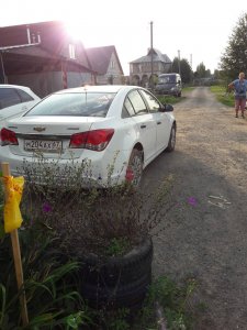 Противостояние на улице Пригородной