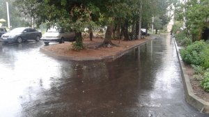 На благоустройство не хватило асфальта?