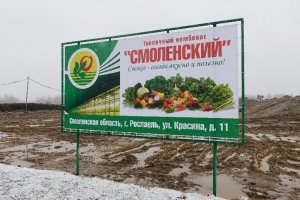 Инвестиции со вкусом